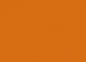 Оранжевый 655 